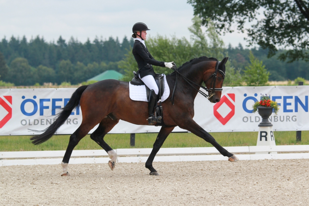 Antonia Witte mit Quadrifoglio in einer M** - Dressur, Preis eines Pferdefreundes aus Cloppenburg. Foto: Birte Hoffhues
